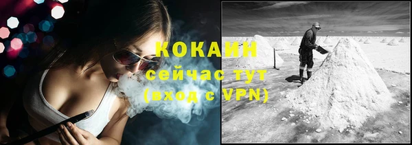 стаф Россошь