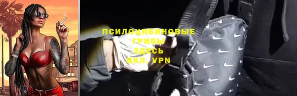 стаф Россошь