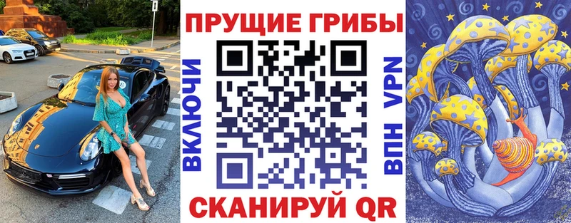 Галлюциногенные грибы Psilocybe  купить наркотики цена  Советский 