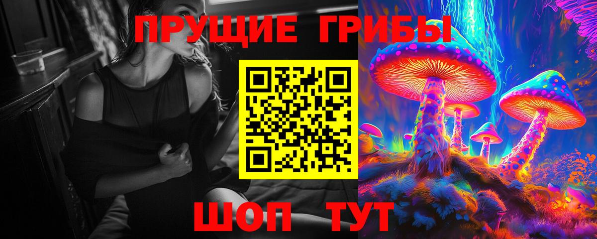 Псилоцибиновые грибы MAGIC MUSHROOMS  закладки  Советский  Псилоцибиновые грибы Magic Shrooms  Вход с VPN 