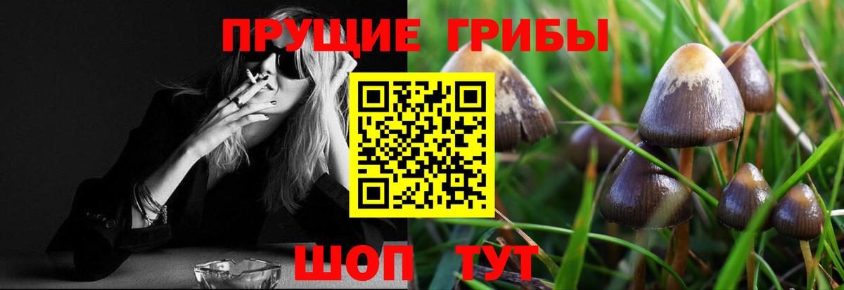 Псилоцибиновые грибы GOLDEN TEACHER Советский